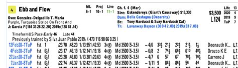 DRF Projected Odds.
